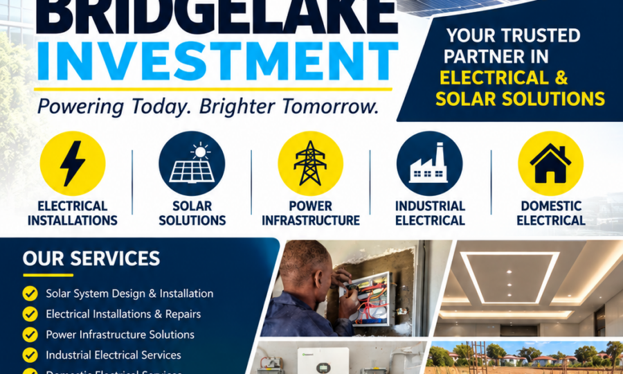 BridgeLake Investement